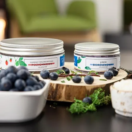 Panorama Ski, Bike, & Restaurant - Czarna Gora Hotel Stronie Śląskie