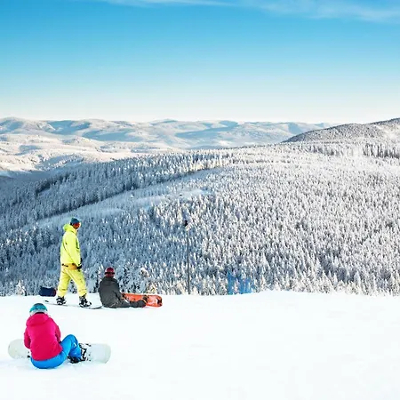 Panorama Ski, Bike, & Restaurant - Czarna Gora *