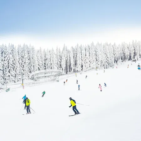 Panorama Ski, Bike, & Restaurant - Czarna Gora Apartment Stronie Slaskie