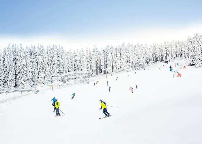 Panorama Ski, Bike, & Restaurant - Czarna Gora Hotel Stronie Slaskie