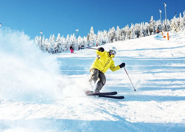 Panorama Ski, Bike, & Restaurant - Czarna Gora Stronie Slaskie