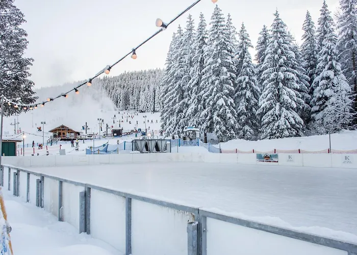 Panorama Ski, Bike, & Restaurant - Czarna Gora *